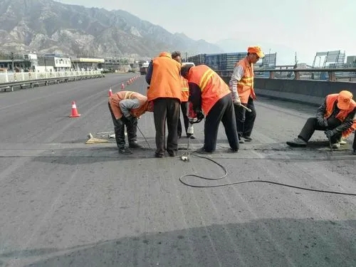 浈江道路桥梁病害治理